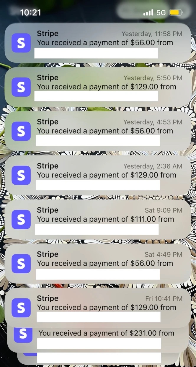A string of Stripe payment notifications for course sales